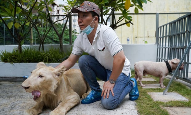 Cambodian PM orders return of defanged pet lion to owner
