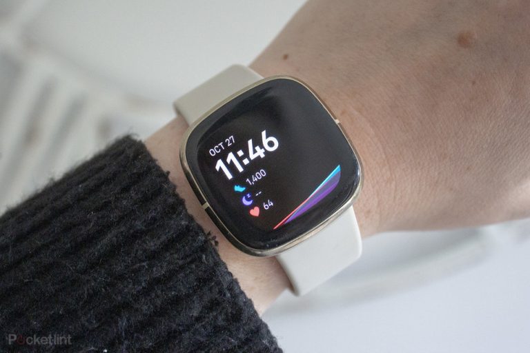 Fitbit Sense review: The healthy watch