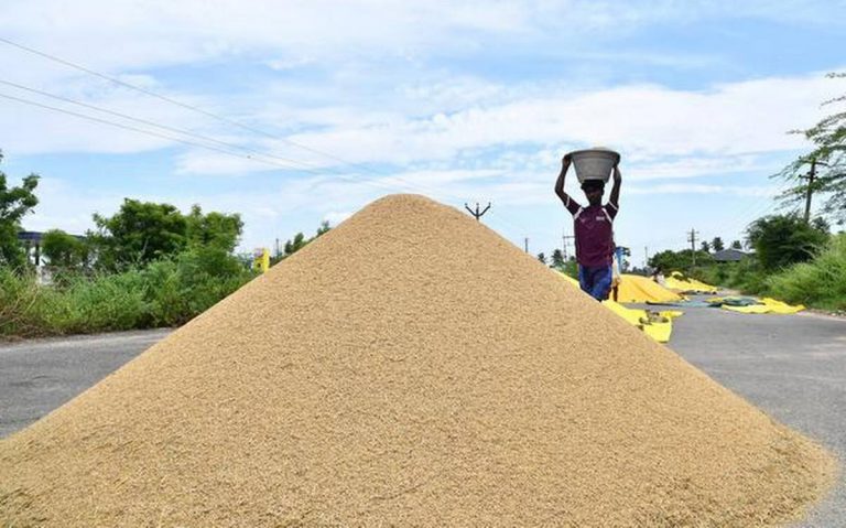Centre delays paddy procurement, Punjab calls for order withdrawal